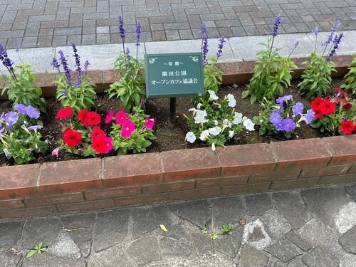 隅田公園の花壇整備
