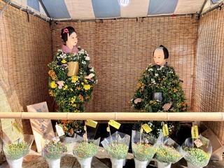 谷中菊まつりの写真
