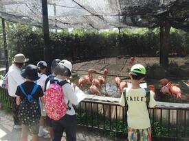 なぜなぜクラブ写真