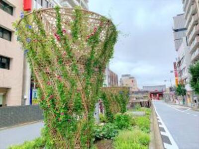 朝顔のオブジェ（朝顔）