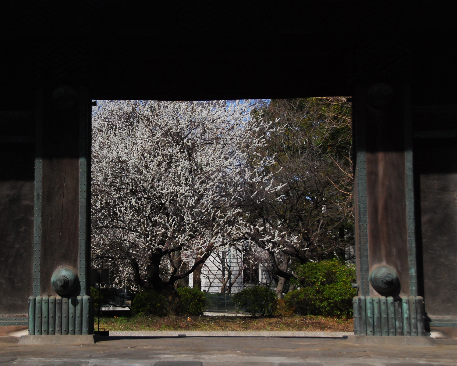 東京国立博物館の写真