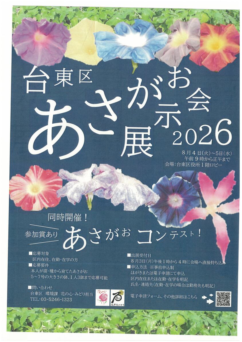 あさがお展示会、あさがおコンテスト