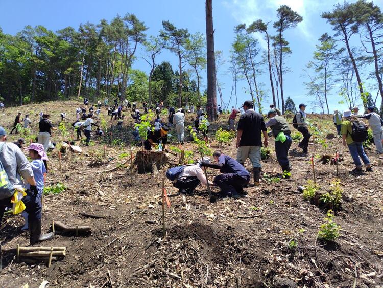 山の中で植樹体験