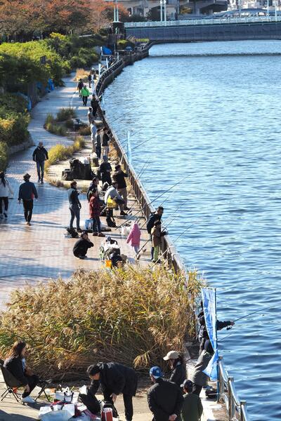 令和6年ハゼ釣りと水辺観察の様子