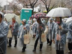 桜橋花まつりの様子4