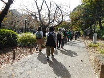 清川地区ウォーキングの様子