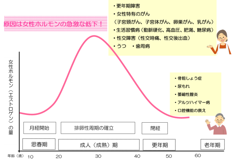 女性ホルモンの急激な低下の図