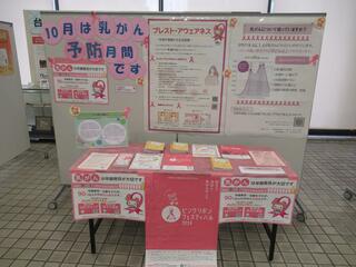 台東区役所の展示