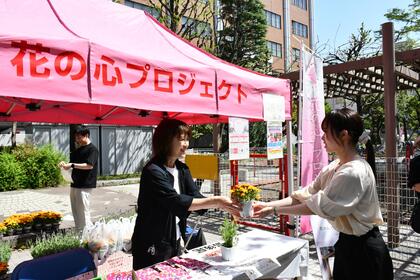 花苗を配付している写真