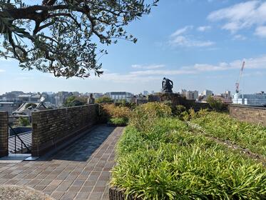 屋上庭園の写真