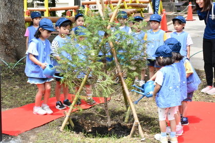 花川戸保育園園児の水やりの様子