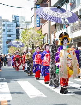 江戸吉原おいらん道中の画像